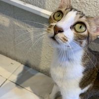 ZHI  JUN CAI's Photo