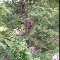 Ezgi Çetinkaya's Photo