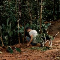 David Ampuero's Photo