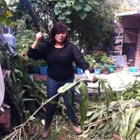 Angélica Cortés's Photo