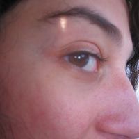 Bojana Zvijer的照片