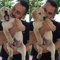 Nicola Zattoni's Photo