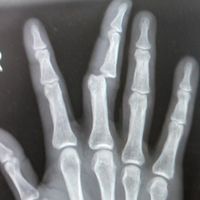 Shaun Pettett's Photo