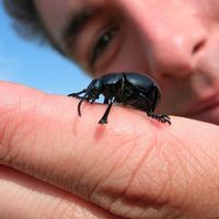 Fotos de Timothy Geert