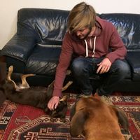 Фотографии пользователя David Scheuermann