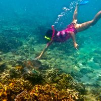 Consuelo Langiu's Photo