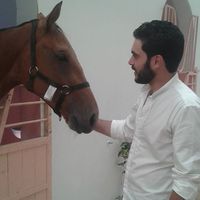 Walid El Hiyani的照片