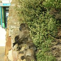 Photos de Matteo Campanella