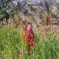 Фотографии пользователя Dalia Fathy