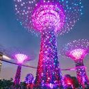Light show at gardens by the bay's picture