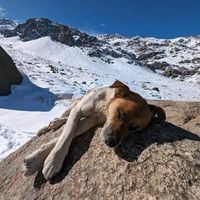 🌈⃤Hernán M's Photo