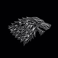 Gaurav Stark的照片