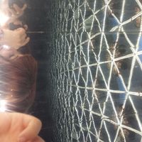 Adeline Thuries's Photo