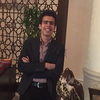 mahmoud elmekwed的照片