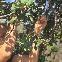 Chiara Geismar's Photo