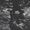 Hamza Talay's Photo