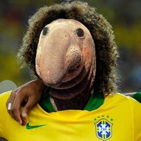 Lou Touchard的照片