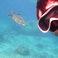 Horacio Pemberton的照片