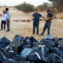 Foto de Red Sand Dunes Cleanup 