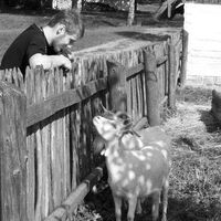 Kamil Kosztowny's Photo