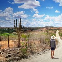 Fotos de Henrique Souza