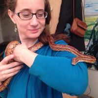 Photos de Meredith Walli