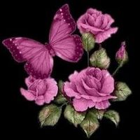 Juliana Fragetti的照片