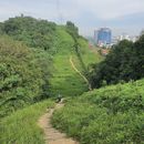 Hiking to sri bintang hill, KL's picture