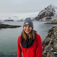 Le foto di Ellen Guyer