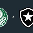 Palmeiras X Botafogo 's picture