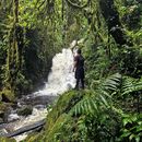 Excursión a la Catarata El Tirol's picture