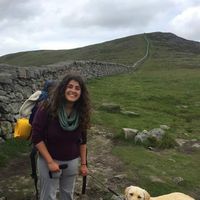 V'cenza  Cirefice的照片