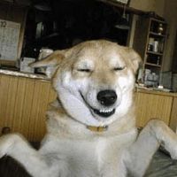 Ganbaatar Enkh-delkhii的照片