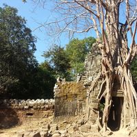 Azirah Radzi的照片