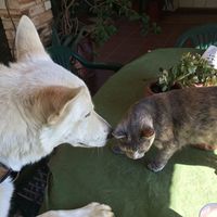 Neelofir Nagdee's Photo