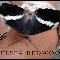 Chelsea Redwood's Photo