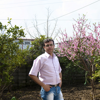 Hossein Sani的照片