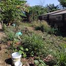 Gardening & Camping One Night's picture