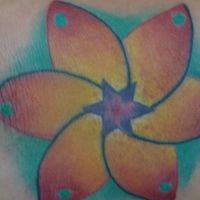 Flor Huichol's Photo