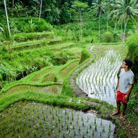 Andrew Hatswell的照片