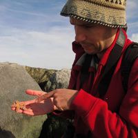 Godefroy Devevey's Photo