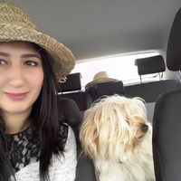 Mouna Bachebache的照片