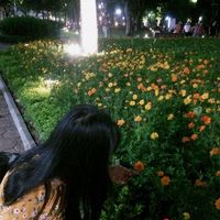 Hạnh Nguyễn's Photo