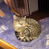 MArika Azzano's Photo