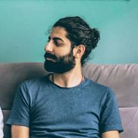 Mohammad Alavian的照片