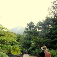 Mathieu gourlay的照片