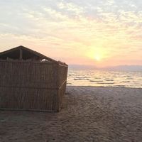 Fotos von itai levit