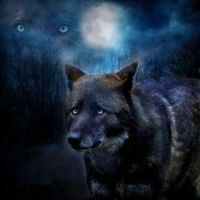 Le foto di Rob Chamber