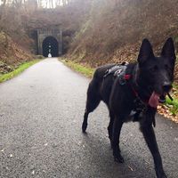 Alexandra Sears的照片