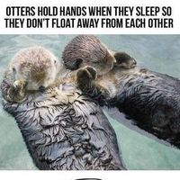 Christa Otter's Photo